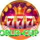 20 20 world cup VIP