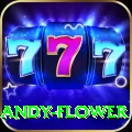 andy flower Pro Edition v5.3.7