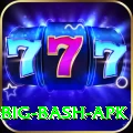 bbl big bash apk Deluxe Pro v2.4.0