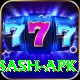 bbl big bash apk Deluxe Pro v2.4.0