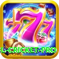 bbl cricket Games Master