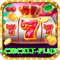 bet365 cricket Slots Mega v5.1.6