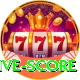 big bash live score Elite v5.7.4