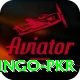 Bingo PKR Plus v5.8.8