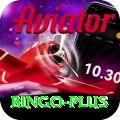 bingo VIP v5.9.9