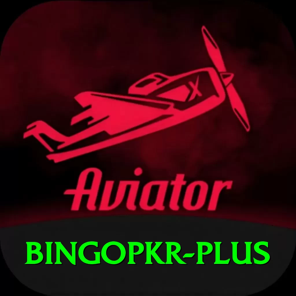 bingopkr Premium v3.1.8 - 2