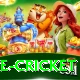 bpl live cricket Games (Casino & Earning) Deluxe v4.4.3