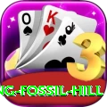 chhusang fossil hill Pro Edition v2.6.2