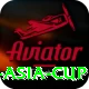 cricbuzz asia cup Max Pro v4.9.7