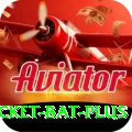 cricket bat - Max Earning App