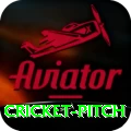 cricket pitch Gold v5.5.6
