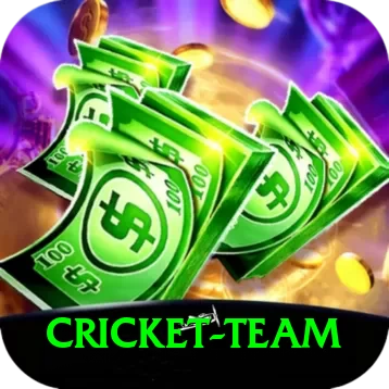 cricket team Premium Edition v3.7.3 - 2