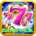 david wiese Pro Edition v5.1.7