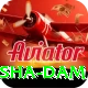 diamer bhasha dam Games (Casino & Earning) Gold v2.9.6