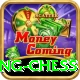 flying chess VIP Edition v5.4.4