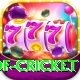 god of cricket Games (Casino & Earning) Master v4.5.7