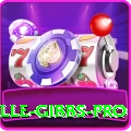 herschelle gibbs Slots Turbo v1.5.3