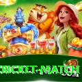 india cricket match Deluxe v2.3.6