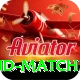 india new zealand match Plus Pro v3.3.3