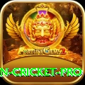 india pakistan cricket Royal Gaming App