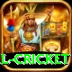 international cricket Pro v1.1.0