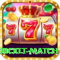 international cricket match Ultimate v1.0.6