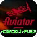 international cricket - Premium v5.1.7