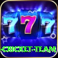ireland cricket team Apps (Tools & Injectors) Turbo v2.7.7
