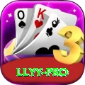 llyy - Pro Edition v4.8.8