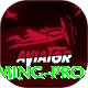 megapari.pk Gaming Pro
