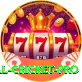 most runs in international cricket Casino VIP v2.2.1