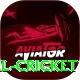 nepal cricket Deluxe v4.5.1
