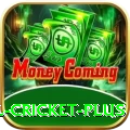 nepal cricket Slot Machine Premium