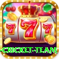netherlands cricket team Deluxe v5.4.0