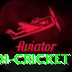 odi cricket Pro