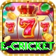 online cricket Gold Edition v5.8.7