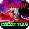 pakistan women cricket team Deluxe v1.4.8