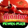 pkwin Elite v3.9.1