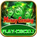 play cricket Gold v4.8.6