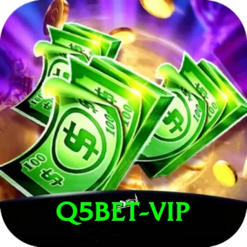 q5bet - VIP Max - 2