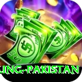 responsible gambling pakistan Games (Casino & Earning) Master v4.0.0