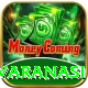 sarnath deer park varanasi VIP v3.9.9