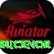 steve bucknor Pro v4.8.0