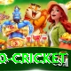 t20 cricket Games (Casino & Earning) Gold v5.1.3