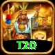 t20 Plus