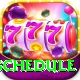 t20 schedule Pro1 v4.7.9
