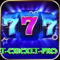 test cricket Ultimate Casino App