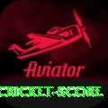 test cricket score Pro1 v1.6.7