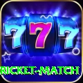 to day cricket match Premium Edition v1.1.8