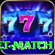 to day cricket match Premium Edition v1.1.8